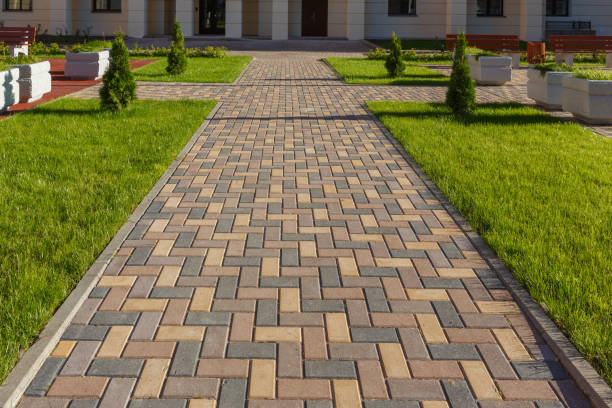 Best Driveway Paving Contractor  in Longwood, FL
